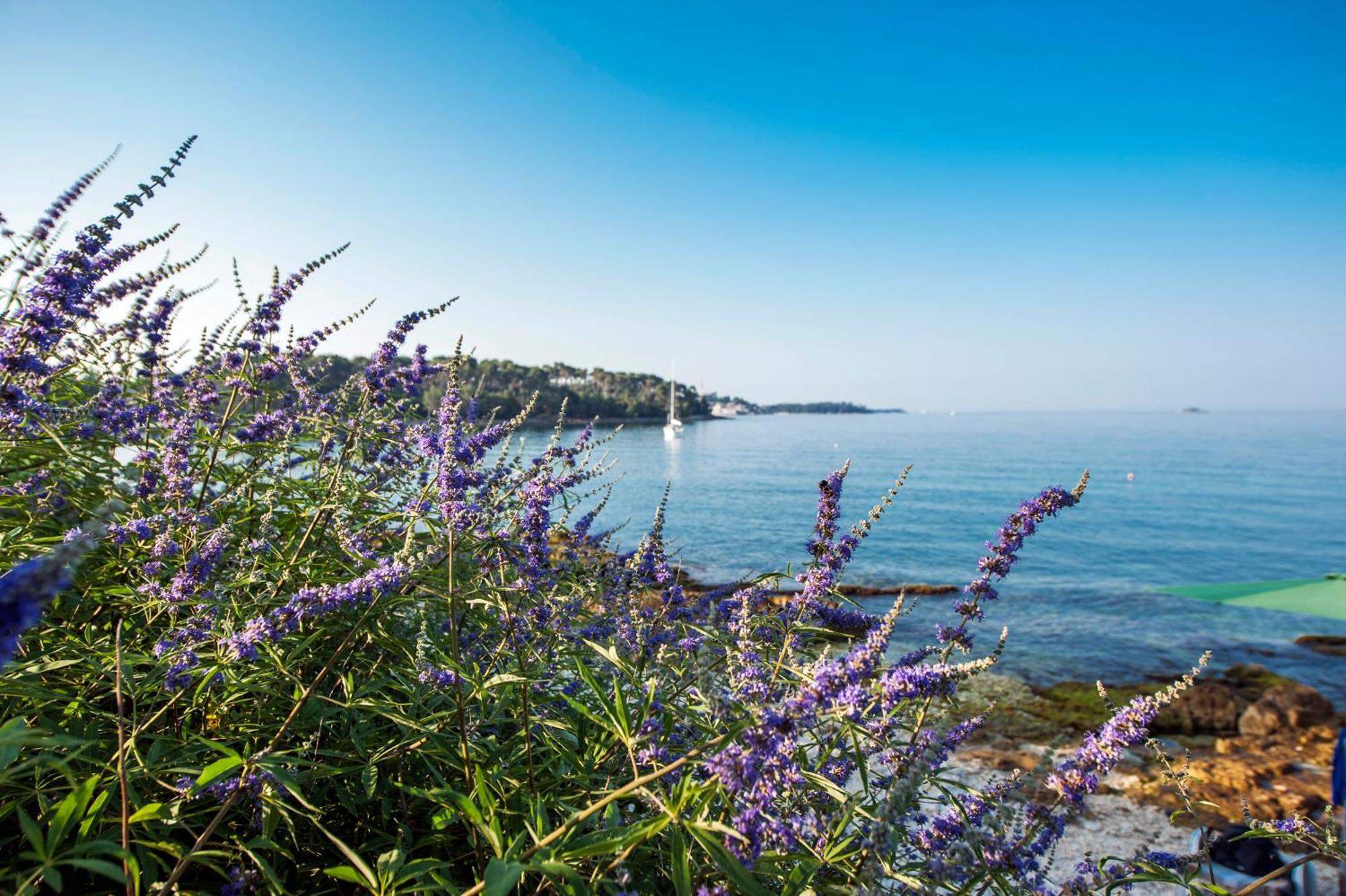 Apartments & Room Anita Rovinj Exterior foto
